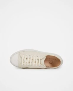 Canvas Low Top Sneakers -Celtic & Co 92161
